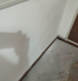 Abelardo servicios integrales del hogar