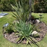 Paisajista–Diseño y mantenimiento de espacios verdes.