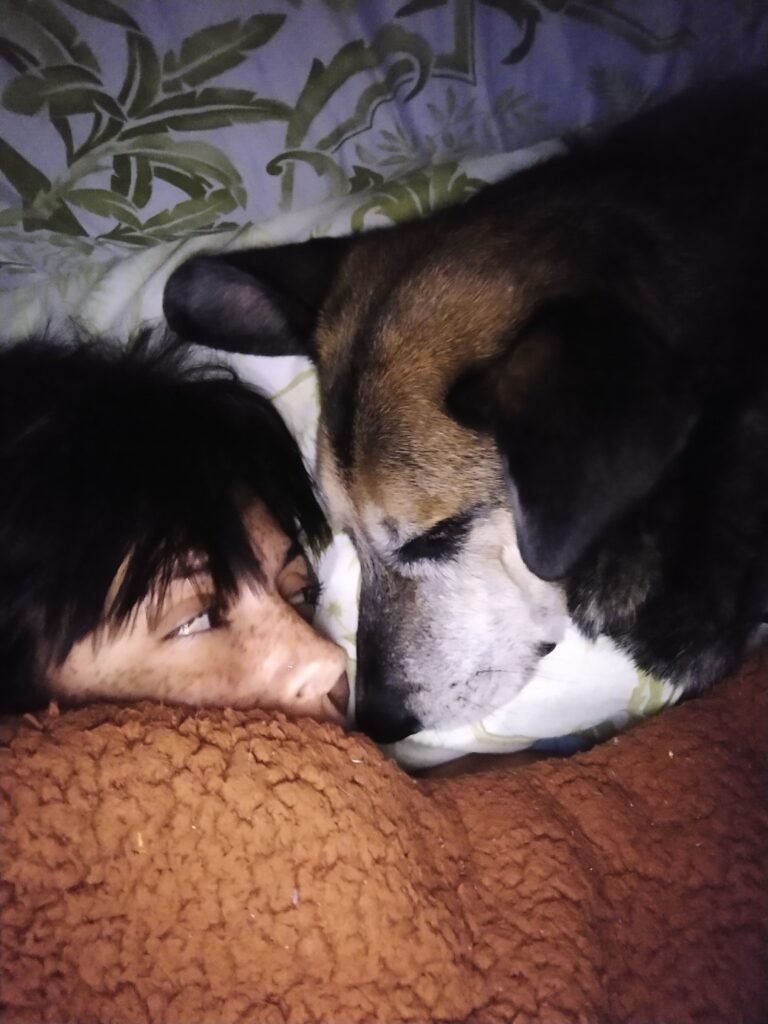 Cuidador paseador de perros