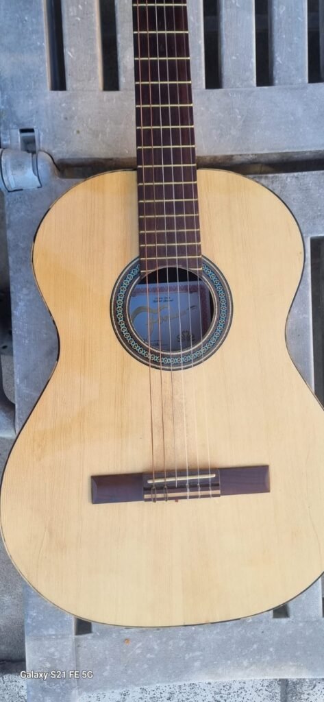 DUCK – Guitarrerìa