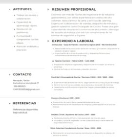 Cocinero o ayudante de cocina