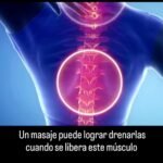 Estetica
