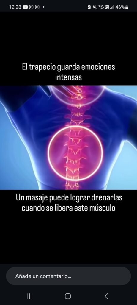 Estetica