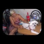 Cuidar casas, mascotas, compañía personal en todo el mundo.