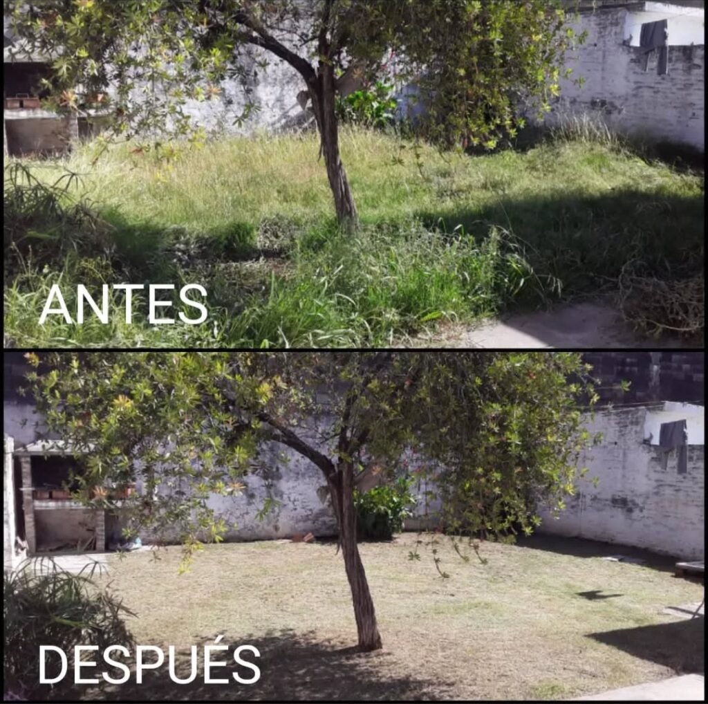 Mateo Jardinería