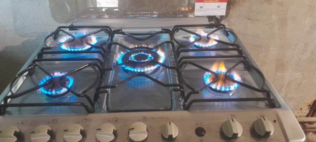 Ova servicios
