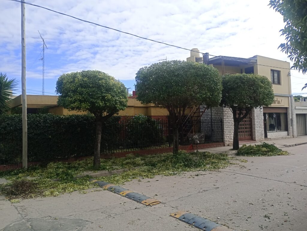 ParquizacionesypodasMF