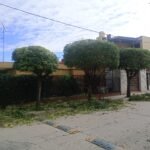 ParquizacionesypodasMF ParquizacionesypodasMF