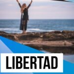 Seccuro alarmas y cámaras de seguridad