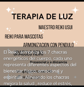 Reikista, Técnico Químico.