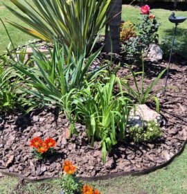 Paisajista–Diseño y mantenimiento de espacios verdes.