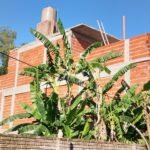 Albañilería en general refacciones Albañilería en general refacciones