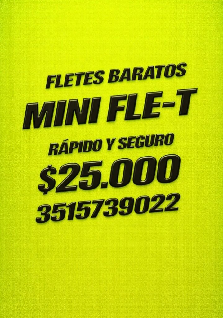 Mini Fletes Pichin