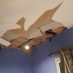 Trabajos de pinturas en dtos colocación de sanitarios y algo basico de electricidad