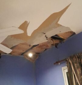 Trabajos de pinturas en dtos colocación de sanitarios y algo basico de electricidad