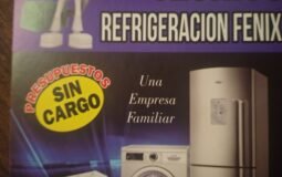 Servicio técnico Fénix pilar