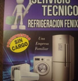 Servicio técnico Fénix pilar