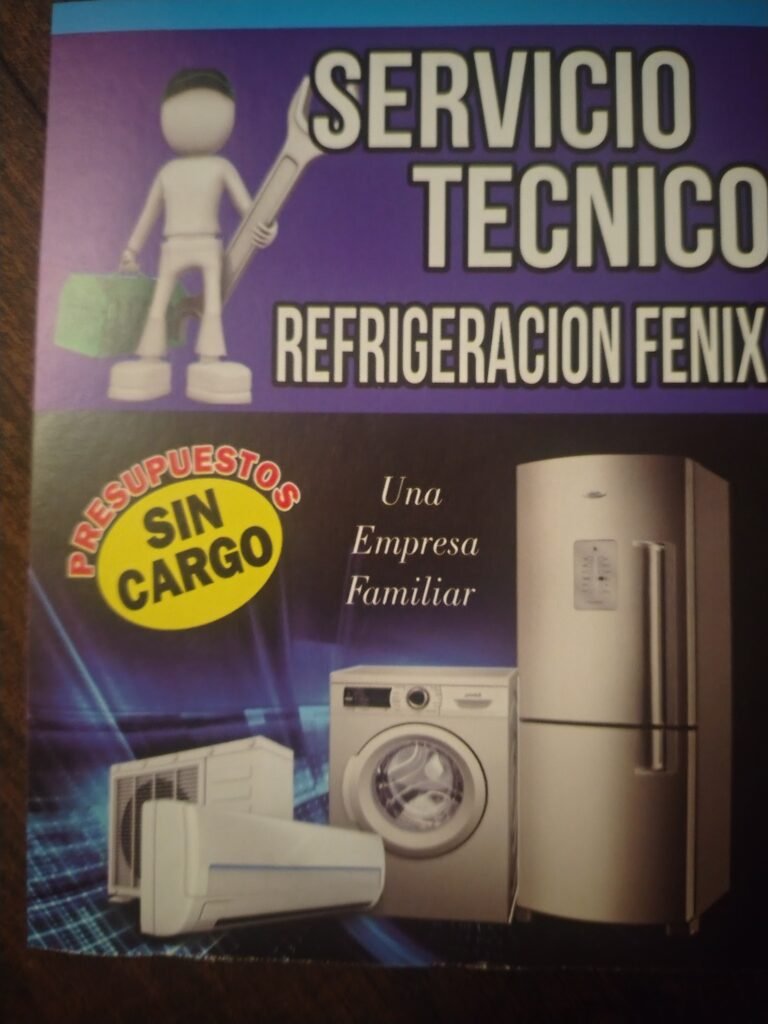 Servicio técnico Fénix pilar