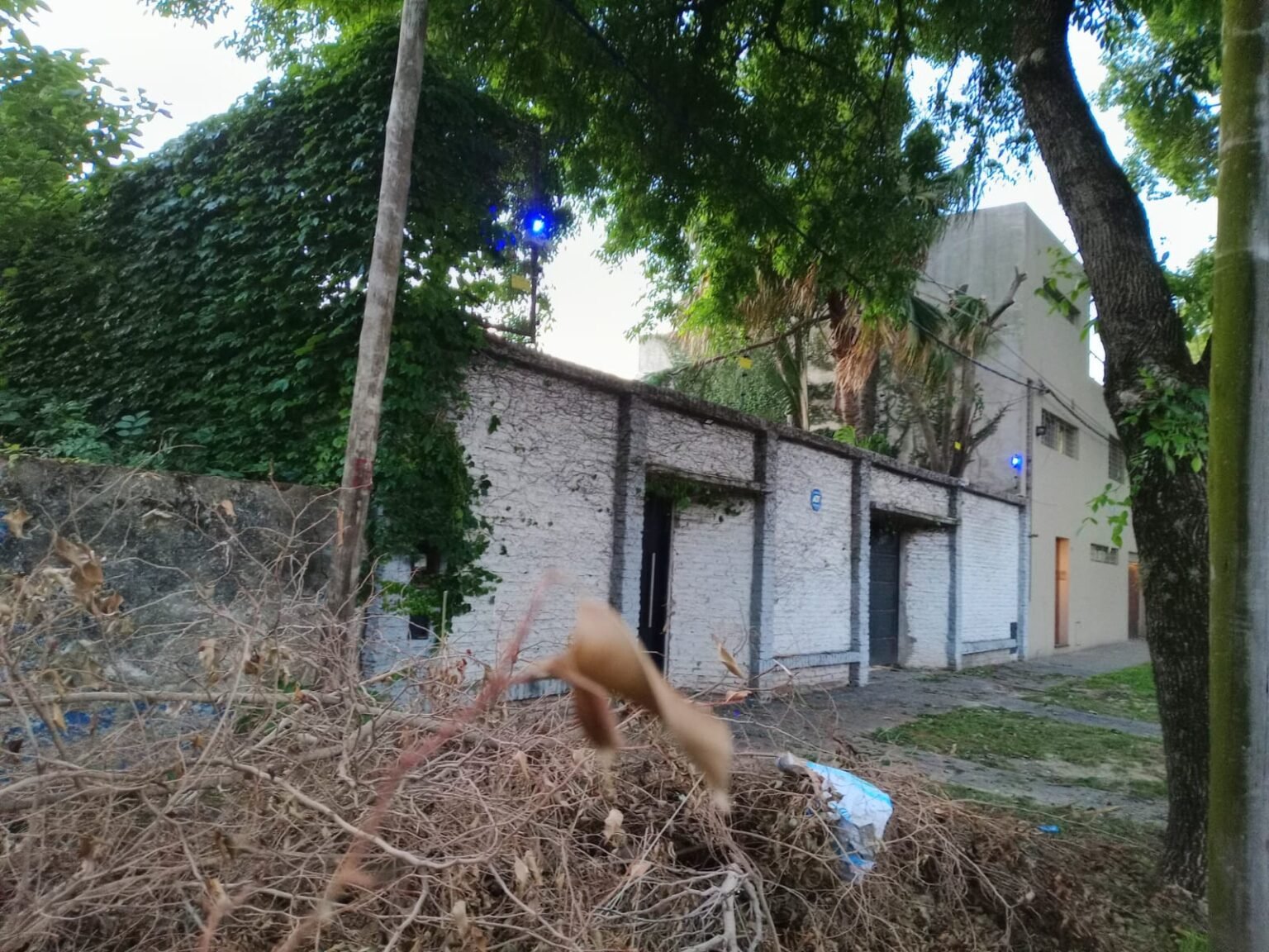 Cercos eléctricos