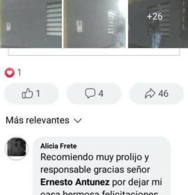 Pintor de casas y departamentos