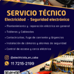 Electricidad y Seguridad Electrónica