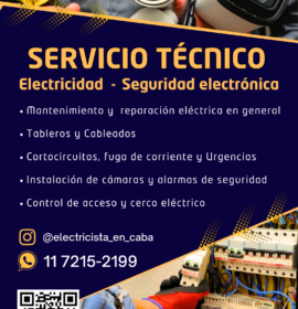 Electricidad y Seguridad Electrónica
