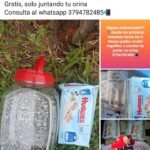 Recoleccion de orina Recoleccion de orina