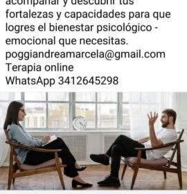 Psicoterapia en linea