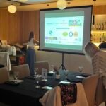 Pantalla Gigante proyectores