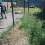 Jardinería herrería albañilería pinturas