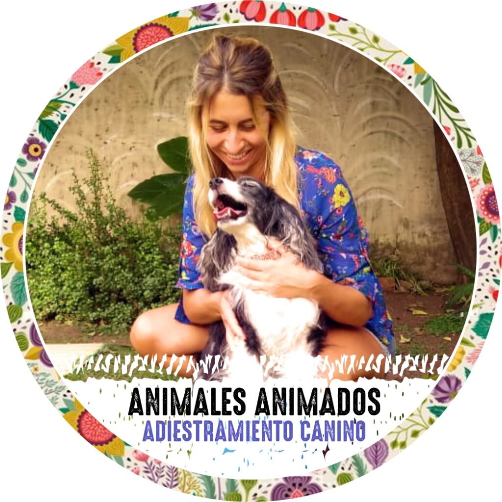 Adiestramiento Canino