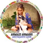 Adiestramiento Canino