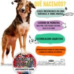 Adiestramiento Canino
