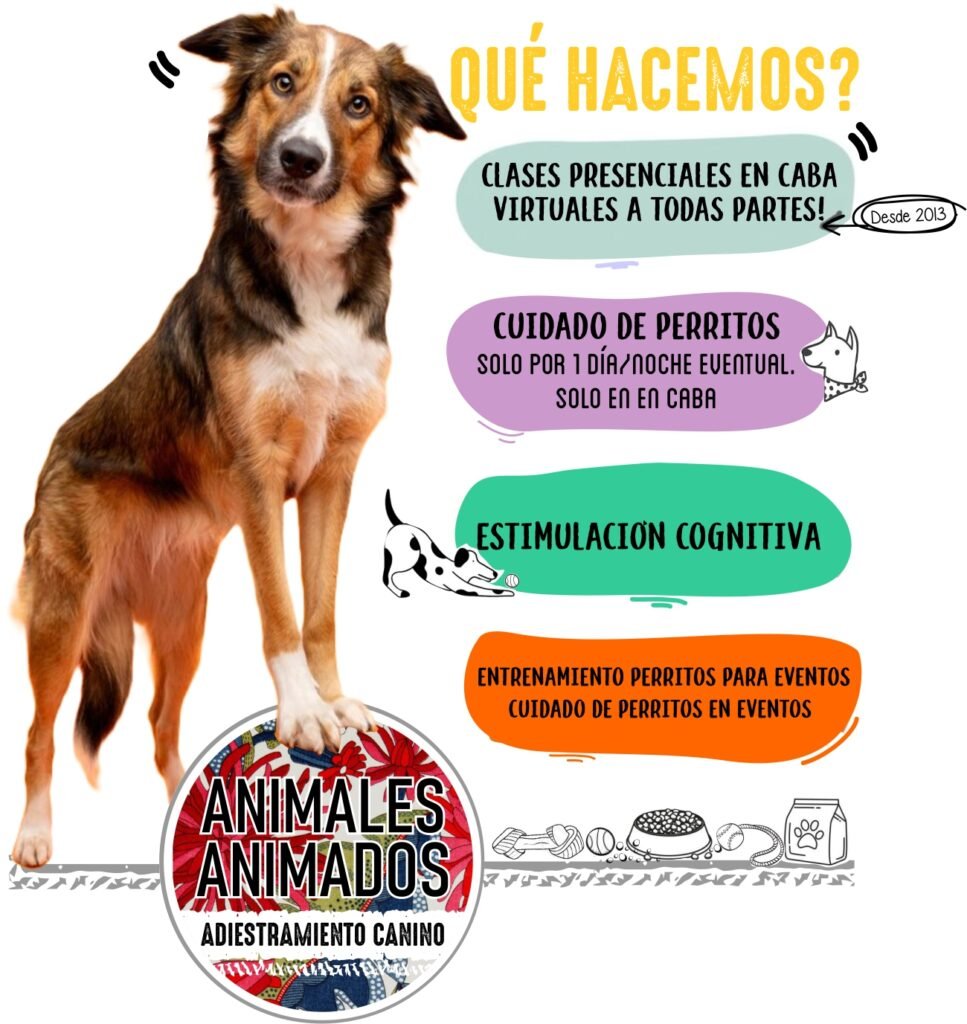 Adiestramiento Canino