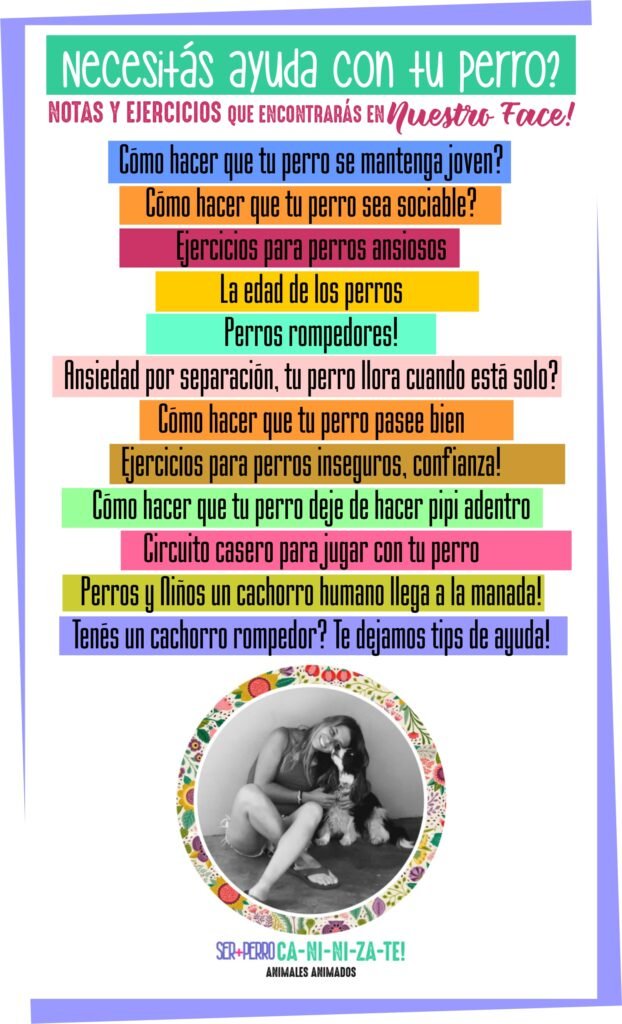 Adiestramiento Canino