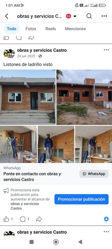 Pintor albañil