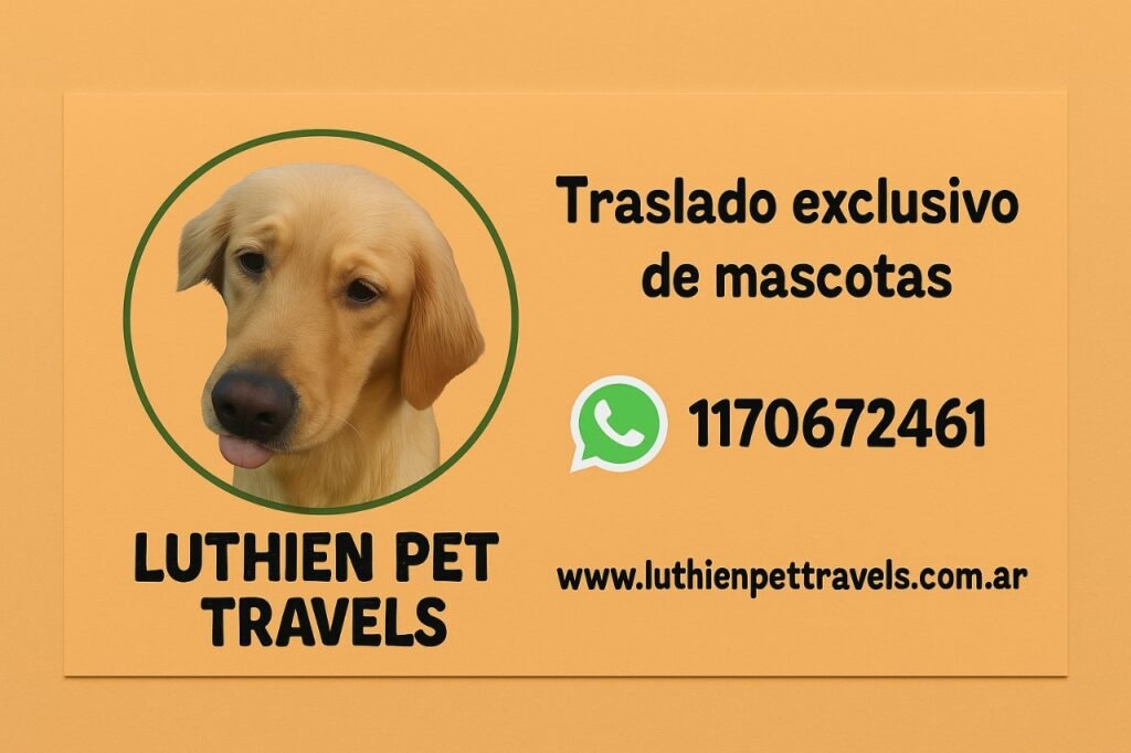 Traslado De Mascotas Zona Sur