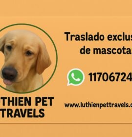 Traslado De Mascotas Zona Sur
