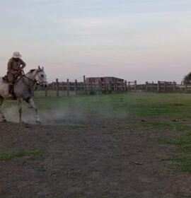 Peón de tambo, inseminador, peón rural