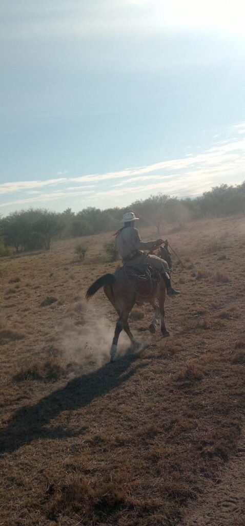 Peón de tambo, inseminador, peón rural