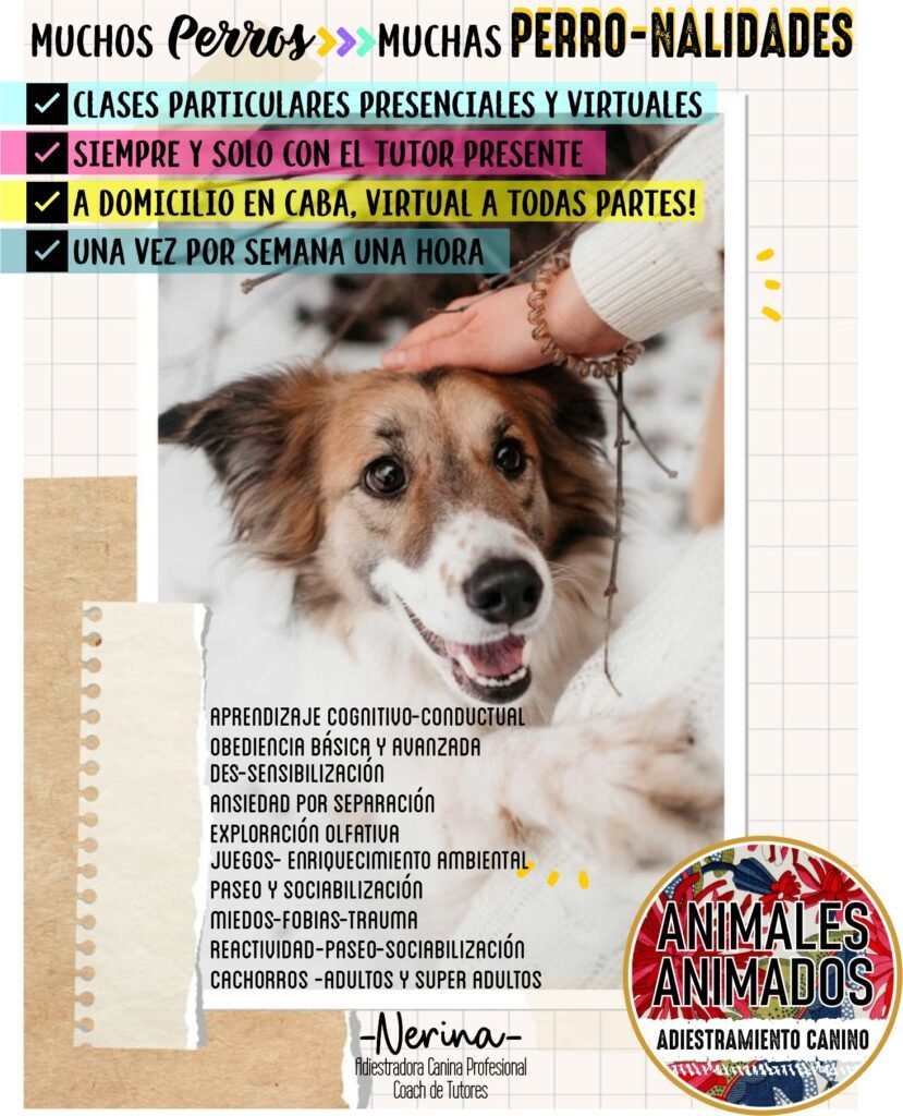 Adiestramiento Canino