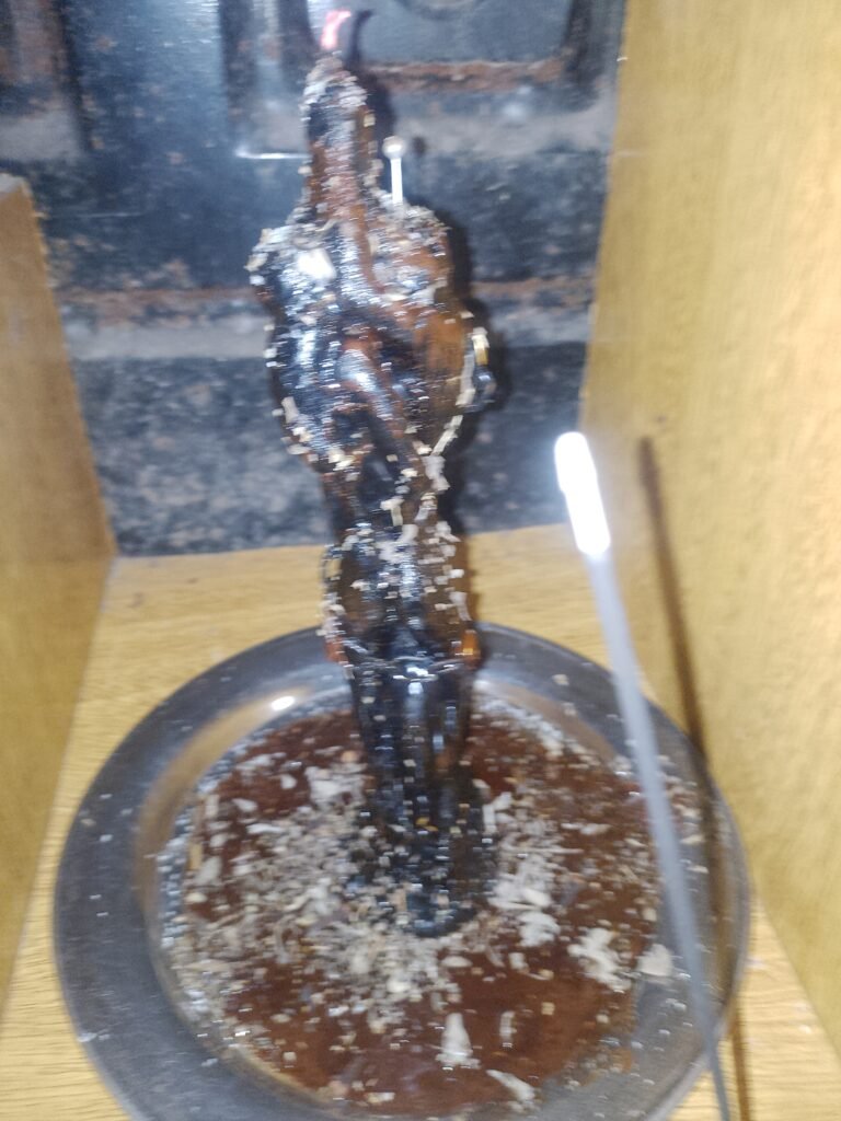 Tarotista medium parasicologa