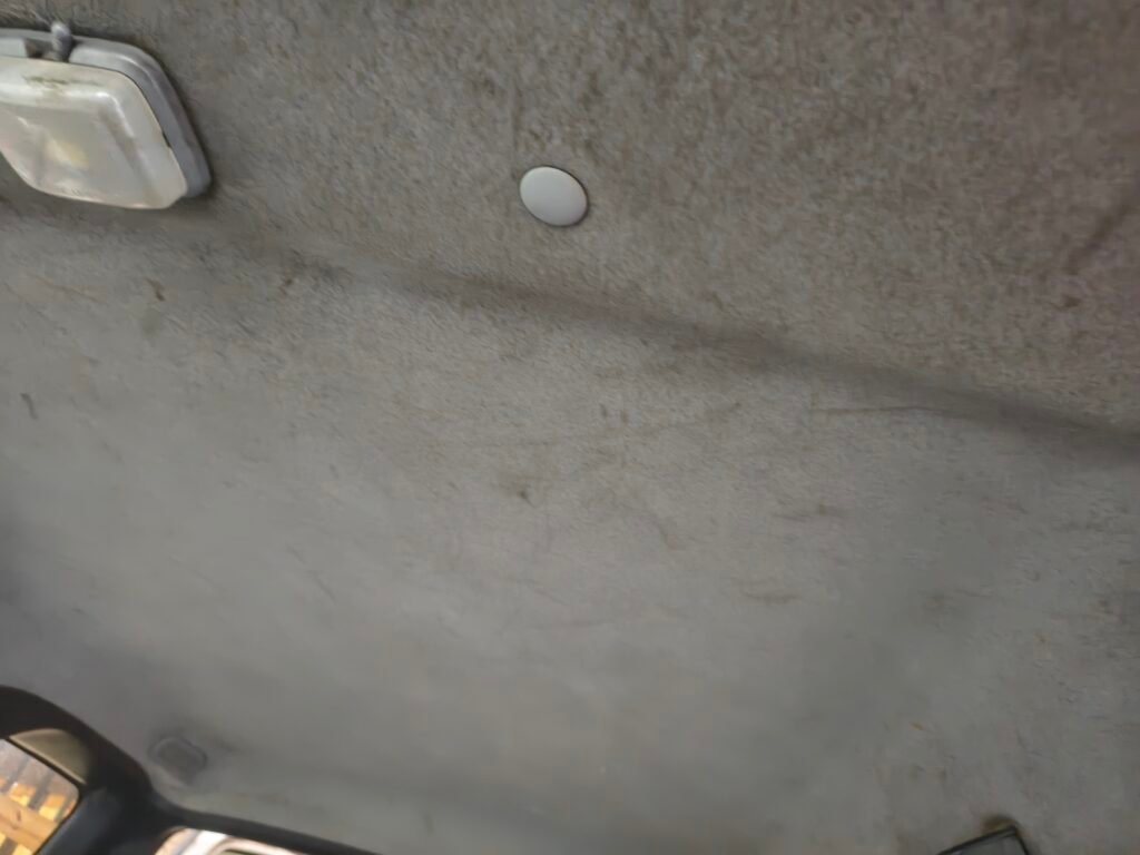 Limpieza de tapizados.