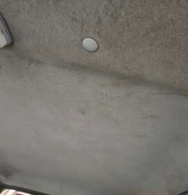 Limpieza de tapizados.