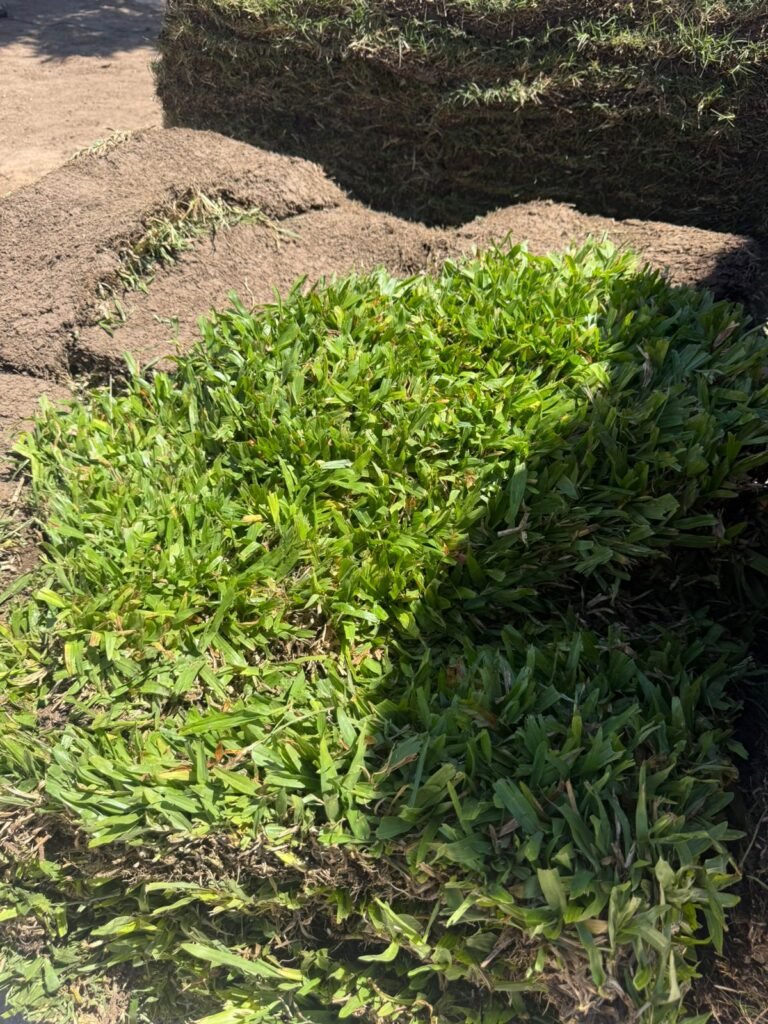 Venta y instalación de césped Y s