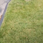 Jardinería calificada podas cortes de cercos desmalesado paisajismo y más Jardinería calificada podas cortes de cercos desmalesado paisajismo y más