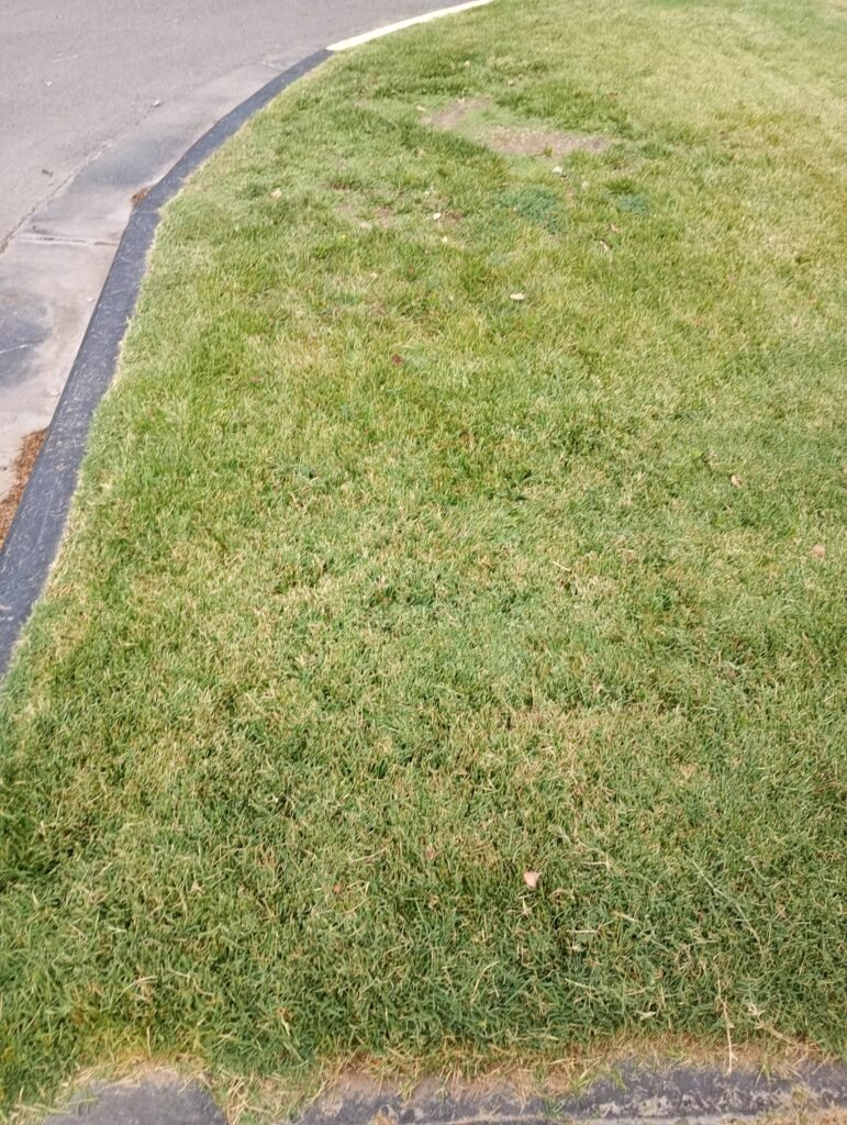 Jardinería calificada podas cortes de cercos desmalesado paisajismo y más