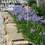 Insumos para jardines. Plantas, tierra, chip