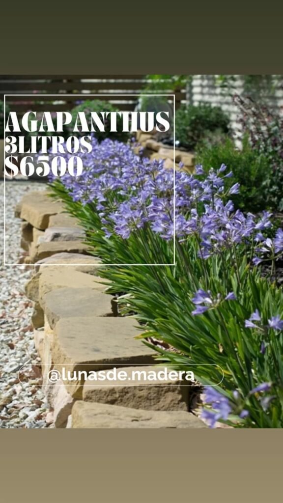 Insumos para jardines. Plantas, tierra, chip