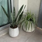 Insumos para jardines. Plantas, tierra, chip